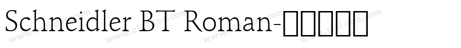 Schneidler BT Roman字体转换
